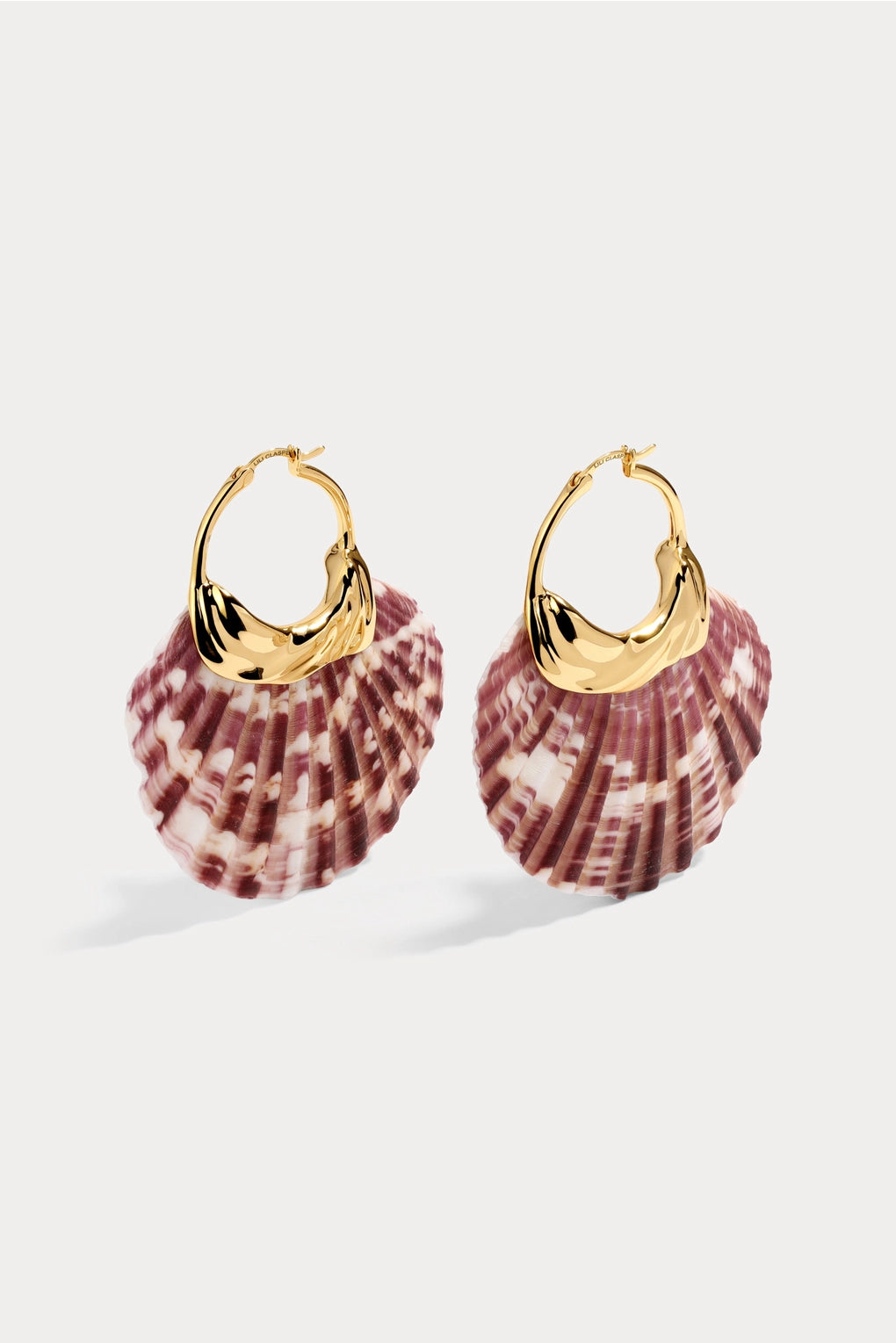 Havana Shell Earrings