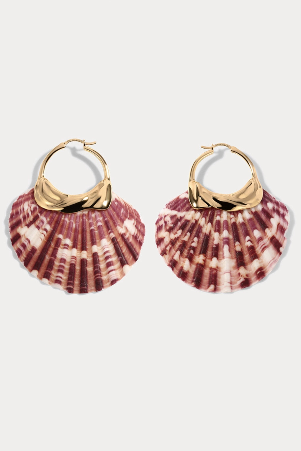 Havana Shell Earrings